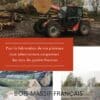 sélection des troncs d'arbres dans une Forêt Française