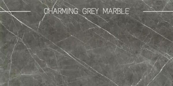 céramique effet marbre gris avec veines blanches